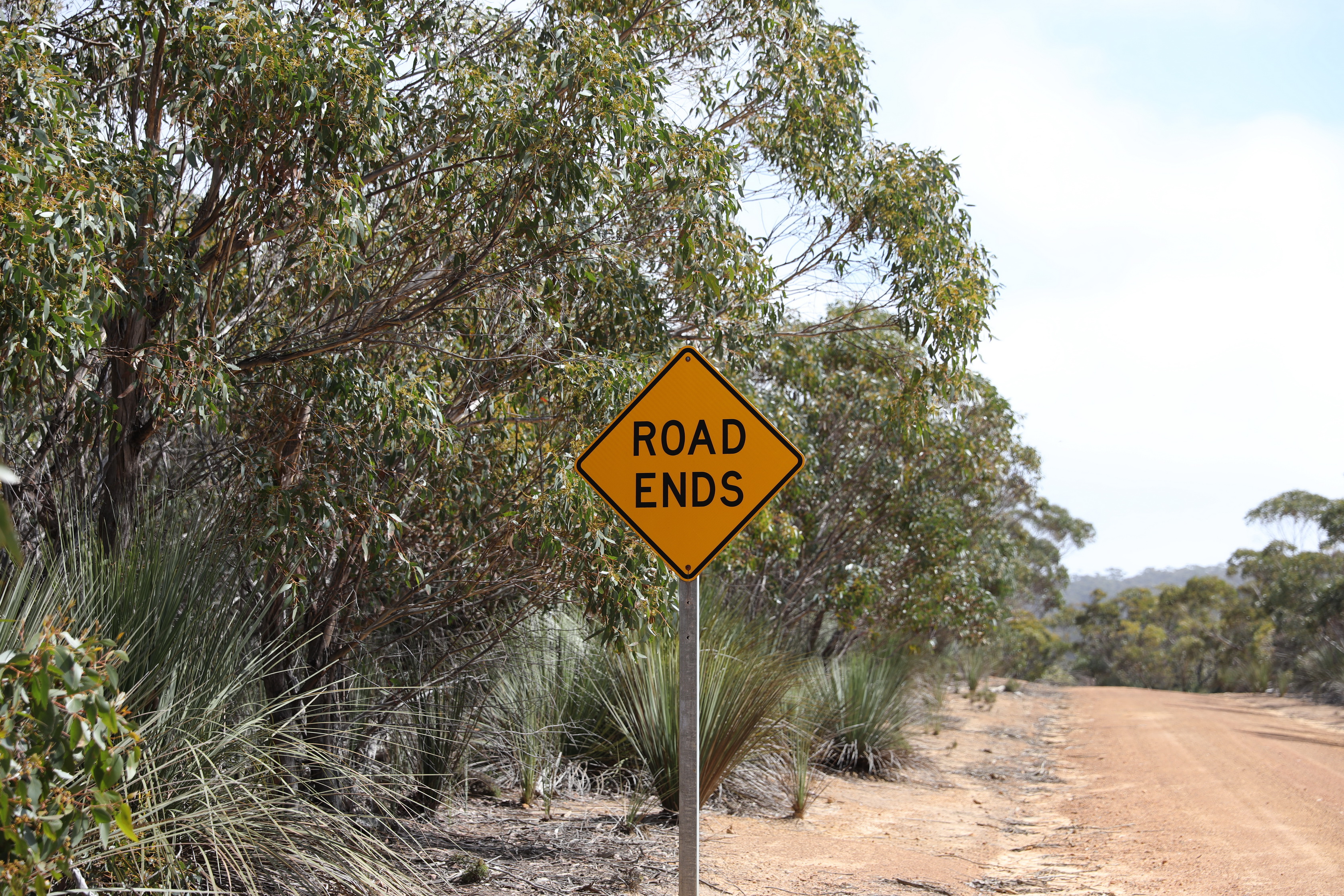 2019 10 02 10 30 07 Canon EOS 5D Mark IV 0006